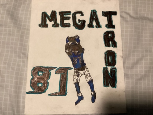 Calvin Johnson Megatron